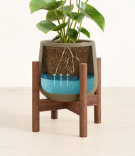 Load image into Gallery viewer, Olive stand:bamboo