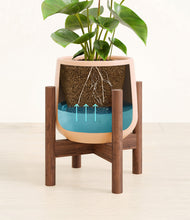 Load image into Gallery viewer, Gentle Pink stand:bamboo