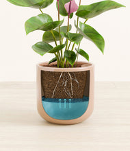 Load image into Gallery viewer, Glossy Pink