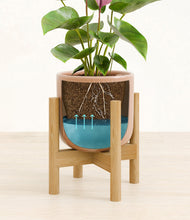 Load image into Gallery viewer, Striped Peach Pink stand:bamboo