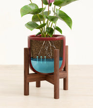 Load image into Gallery viewer, Striped Cherry Red stand:walnut