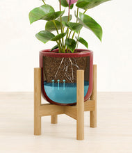 Load image into Gallery viewer, Striped Cherry Red stand:bamboo