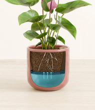 Load image into Gallery viewer, Hammered Rose Pink