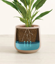 Load image into Gallery viewer, Eternal Gray