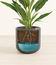 Load image into Gallery viewer, Iron Gray