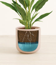 Load image into Gallery viewer, Sandy Pink