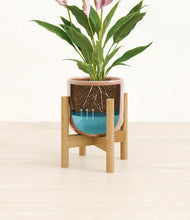 Load image into Gallery viewer, Hammered Peach Pink stand:bamboo