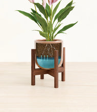 Load image into Gallery viewer, Hammered Peach Pink stand:walnut