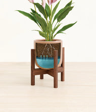 Load image into Gallery viewer, Striped Peach Pink stand:walnut