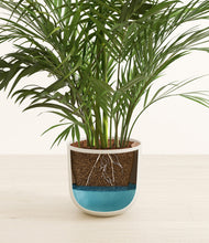 Load image into Gallery viewer, Natural Bamboo