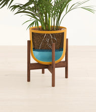 Load image into Gallery viewer, Sunset Orange stand:walnut