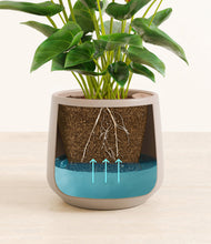 Load image into Gallery viewer, Eternal Gray