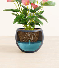 Load image into Gallery viewer, Deep Navy