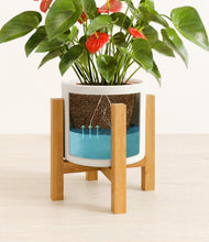 Load image into Gallery viewer, White stand:light