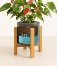 Load image into Gallery viewer, Dark Olive stand:light