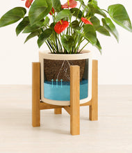 Load image into Gallery viewer, Cream stand:light