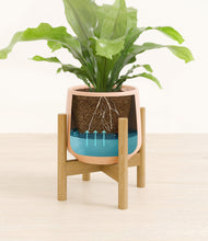 Load image into Gallery viewer, Gentle Pink stand:bamboo