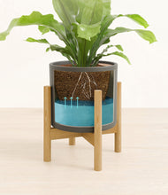 Load image into Gallery viewer, Dark Olive stand:bamboo