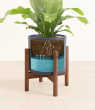 Load image into Gallery viewer, Deep Navy stand:walnut