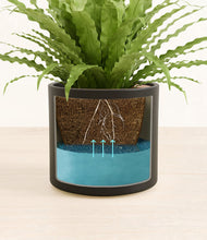 Load image into Gallery viewer, Black