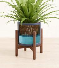 Load image into Gallery viewer, Deep Navy stand:walnut