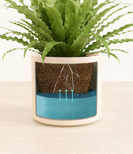 Load image into Gallery viewer, Cream