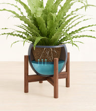 Load image into Gallery viewer, Deep Navy stand:walnut