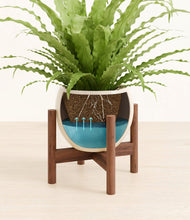 Load image into Gallery viewer, Shiny EggWhite stand:walnut