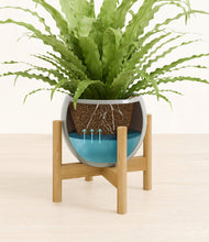 Load image into Gallery viewer, Deep Ocean stand:bamboo