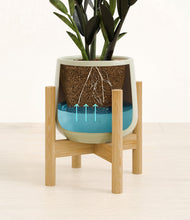 Load image into Gallery viewer, Turquoise stand:bamboo