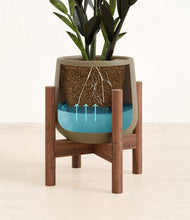 Load image into Gallery viewer, Olive stand:walnut