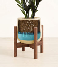 Load image into Gallery viewer, Almond Green stand:walnut