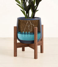 Load image into Gallery viewer, Deep Navy stand:walnut