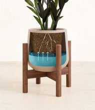 Load image into Gallery viewer, Eternal Gray stand:walnut