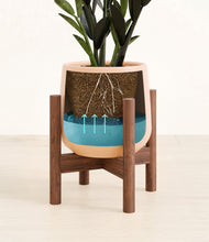 Load image into Gallery viewer, Gentle Pink stand:walnut