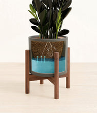 Load image into Gallery viewer, Dark Olive stand:walnut