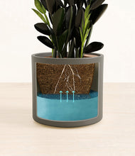 Load image into Gallery viewer, Dark Olive