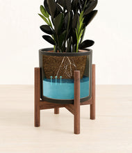 Load image into Gallery viewer, Black stand:walnut