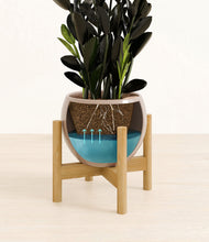 Load image into Gallery viewer, Desert Brown stand:bamboo