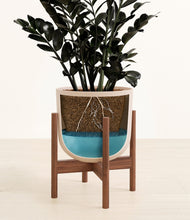 Load image into Gallery viewer, Sandy Pink stand:walnut