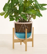 Load image into Gallery viewer, Sandy Pink stand:bamboo