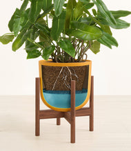 Load image into Gallery viewer, Sunset Orange stand:walnut