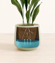 Load image into Gallery viewer, Turquoise