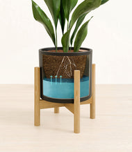 Load image into Gallery viewer, Black stand:bamboo