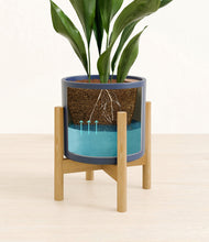 Load image into Gallery viewer, Deep Navy stand:bamboo