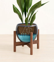 Load image into Gallery viewer, Deep Navy stand:walnut