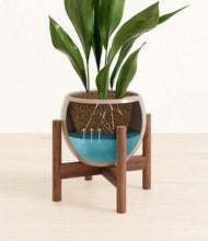 Load image into Gallery viewer, Desert Brown stand:walnut