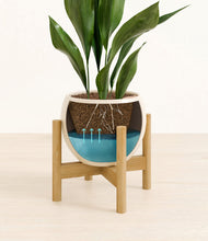 Load image into Gallery viewer, Shiny EggWhite stand:bamboo