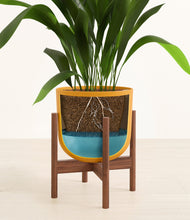 Load image into Gallery viewer, Sunset Orange stand:walnut