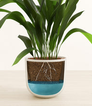 Load image into Gallery viewer, Natural Bamboo